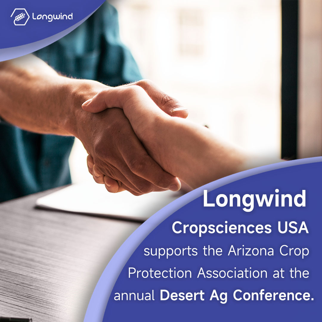 Longwind Poster - 21.jpg